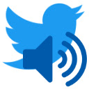 X Show Volume Controller  screen for extension Chrome web store in OffiDocs Chromium