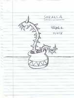Free download Shrakla free photo or picture to be edited with GIMP online image editor