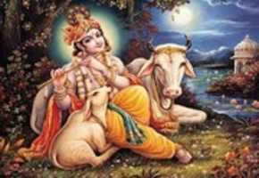 Free download Shri Krishna free photo or picture to be edited with GIMP online image editor