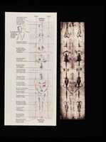 Free download Shroud of Turin Images free photo or picture to be edited with GIMP online image editor