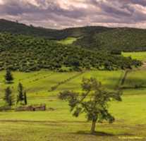 Free download Sidi Abdelazziz free photo or picture to be edited with GIMP online image editor
