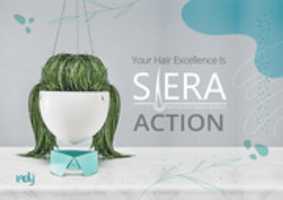 Free download Siera Catalog free photo or picture to be edited with GIMP online image editor