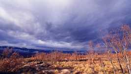 Free download Sierra Guadarrama Madrid Oak -  free video to be edited with OpenShot online video editor
