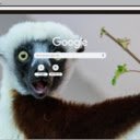 Sifaka  screen for extension Chrome web store in OffiDocs Chromium
