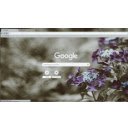 silent purple  screen for extension Chrome web store in OffiDocs Chromium
