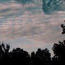 Silhouetted Trees Against Cloudy Sky  screen for extension Chrome web store in OffiDocs Chromium