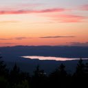 Silhouette of Pine Trees during Golden Hour  screen for extension Chrome web store in OffiDocs Chromium