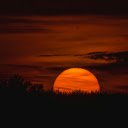 Silhouette of Trees during Sunset  screen for extension Chrome web store in OffiDocs Chromium
