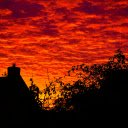 Silhouette Photo of Building  screen for extension Chrome web store in OffiDocs Chromium