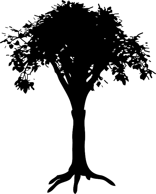 Free download Silhouette Tree - Free vector graphic on Pixabay free illustration to be edited with GIMP free online image editor