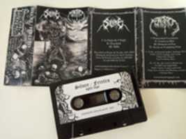 Free download Silure/ Feretro split tape free photo or picture to be edited with GIMP online image editor