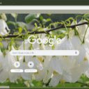Silverbell  screen for extension Chrome web store in OffiDocs Chromium