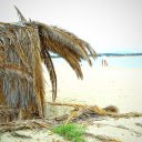 Simple leaf tent on the beach  screen for extension Chrome web store in OffiDocs Chromium