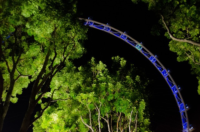 免费下载新加坡摩天观景轮夜景免费图片，使用 GIMP 免费在线图像编辑器进行编辑