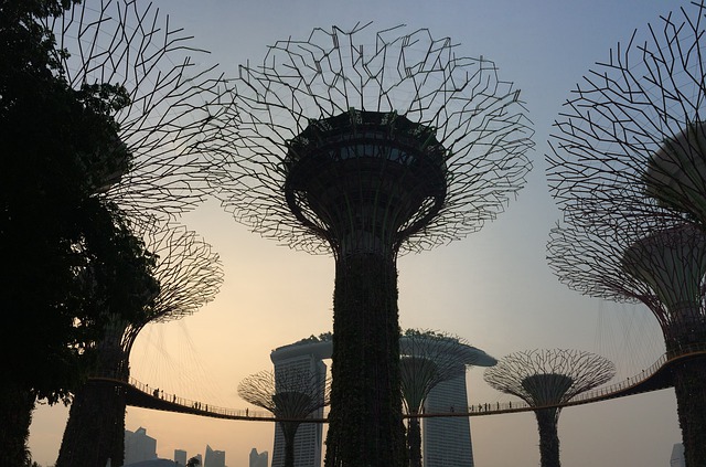Free download Singapore Gardens By The Bay -  free photo or picture to be edited with GIMP online image editor