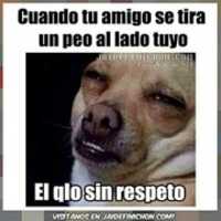 Free download sin respeto free photo or picture to be edited with GIMP online image editor