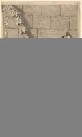 Free download Sitting Satyrs free photo or picture to be edited with GIMP online image editor