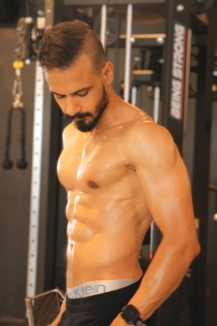 Free download six pack abs bodybuilder gym man free picture to be edited with GIMP free online image editor
