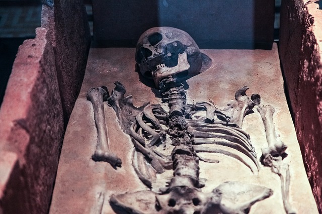 ດາວ​ໂຫຼດ​ຟຣີ skeleton skull ຮູບ​ເກົ່າ​ແກ່​ທີ່​ຕາຍ​ແລ້ວ​ຮູບ​ພາບ​ທີ່​ບໍ່​ເສຍ​ຄ່າ​ທີ່​ຈະ​ໄດ້​ຮັບ​ການ​ແກ້​ໄຂ​ທີ່​ມີ GIMP ບັນນາທິການ​ຮູບ​ພາບ​ອອນ​ໄລ​ນ​໌​ຟຣີ​