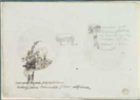 Free download Sketches for a Bonnet and Accessories free photo or picture to be edited with GIMP online image editor