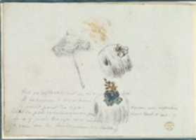 Free download Sketches for Two Muffs and a Parasol free photo or picture to be edited with GIMP online image editor