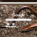 Skink  screen for extension Chrome web store in OffiDocs Chromium