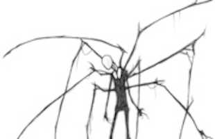 Free download slenderWow free photo or picture to be edited with GIMP online image editor
