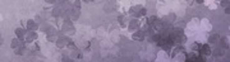 Free download slider rpimer free photo or picture to be edited with GIMP online image editor
