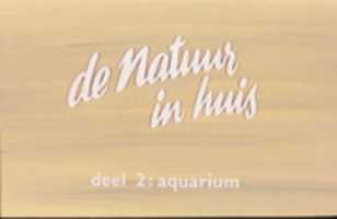 Unduh gratis Slide-set De natuur in Huis deel 2 - Akuarium foto atau gambar gratis untuk diedit dengan editor gambar online GIMP