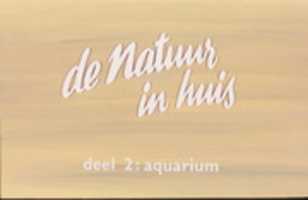 Gratis download Slide-set De natuur in Huis deel 2 - Aquarium gratis foto of afbeelding te bewerken met GIMP online afbeeldingseditor