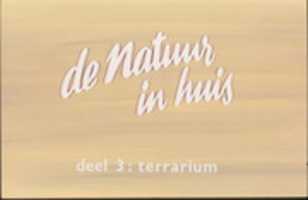 Tải xuống miễn phí Bộ trình chiếu De natuur in Huis deel 3 - Ảnh hoặc ảnh miễn phí Terrarium được chỉnh sửa bằng trình chỉnh sửa ảnh trực tuyến GIMP