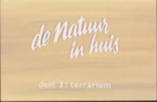 ดาวน์โหลดฟรี Slide-set De natuur ใน Huis deel 3 - Terrarium รูปถ่ายหรือรูปภาพฟรีที่จะแก้ไขด้วยโปรแกรมแก้ไขรูปภาพออนไลน์ GIMP