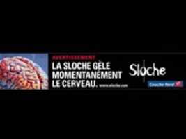 Free download Sloche.com - Wallpaper Brainfreeze (1024x768) free photo or picture to be edited with GIMP online image editor