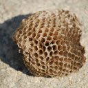 Small beehive  screen for extension Chrome web store in OffiDocs Chromium