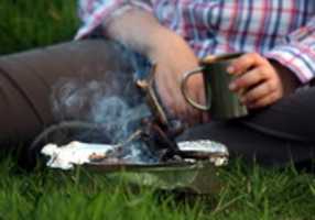 Free download Small Campfire free photo or picture to be edited with GIMP online image editor