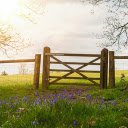 Small Farm Gate  screen for extension Chrome web store in OffiDocs Chromium
