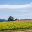Small house and flower field  screen for extension Chrome web store in OffiDocs Chromium