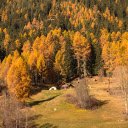 Small house deep in the yellowforest  screen for extension Chrome web store in OffiDocs Chromium