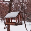 Small house on a tree  screen for extension Chrome web store in OffiDocs Chromium