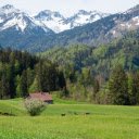 Small house on green steppe  screen for extension Chrome web store in OffiDocs Chromium