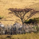 Small huts on dry fields  screen for extension Chrome web store in OffiDocs Chromium