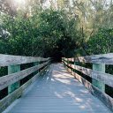 Small Long Wooden Bridge  screen for extension Chrome web store in OffiDocs Chromium