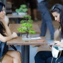 Small table, small tree  screen for extension Chrome web store in OffiDocs Chromium