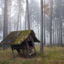 Small tent in the forest  screen for extension Chrome web store in OffiDocs Chromium