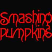 Free picture smashingpodcast bunniBARTCZAK on the age old QUESTION to be edited by GIMP online free image editor by OffiDocs