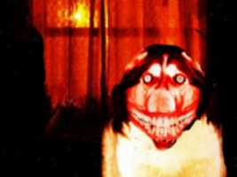 Free download Smile Dog (Satanic) free photo or picture to be edited with GIMP online image editor