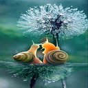 snail and dandelion wallpaper  screen for extension Chrome web store in OffiDocs Chromium