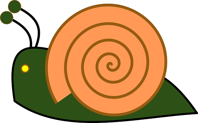 Libreng download Snail Shell Slow - Libreng vector graphic sa Pixabay libreng ilustrasyon na ie-edit gamit ang GIMP na libreng online na editor ng imahe