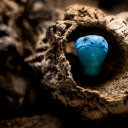 Snake nest trunk  screen for extension Chrome web store in OffiDocs Chromium