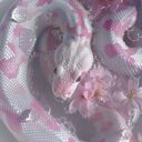 snake slithering in water wallpaper  screen for extension Chrome web store in OffiDocs Chromium